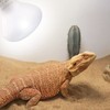 Aiicioo Reptile Basking Light Bulb - 50W Reptile Heat Lamp