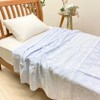 Imabari Towel Blanket, Nishikawa, Made in Japan, Single, Cotton, 100%