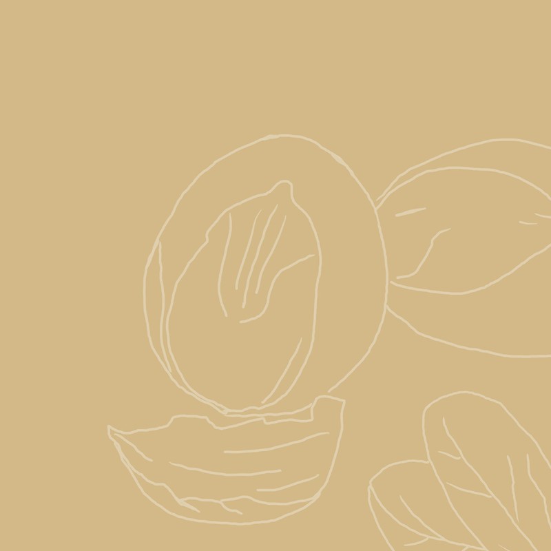 Shea Moisture Raw Shea Butter Restorative Conditioner, 1 Pack (1