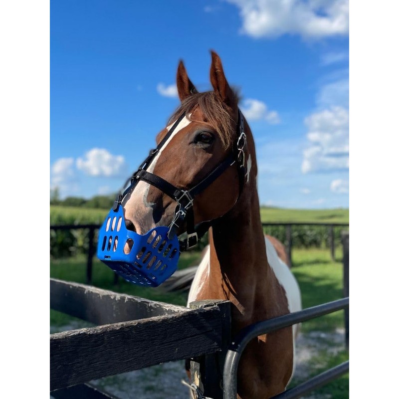 GREENGUARD Premium Breakaway Safety Halter with Padded Nose and Crown