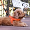 Plutus Pet No Pull Dog Harness with Breathable Mesh Padded,