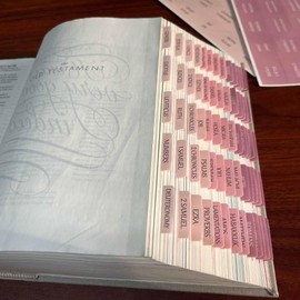 Thinkor Reposition Bible Tabs, Large Print Lanimated Stickers, Easy to Read and Apply Bible Tabs for Women and Man (Four Pink)