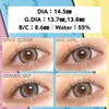 【メーカー公式店舗】[ せいせい (田向星華) プロデュース&イメージモデルカラコン ] RESAY(リセイ) 1DAY 10枚入り ナイトスパーク [-4.75]