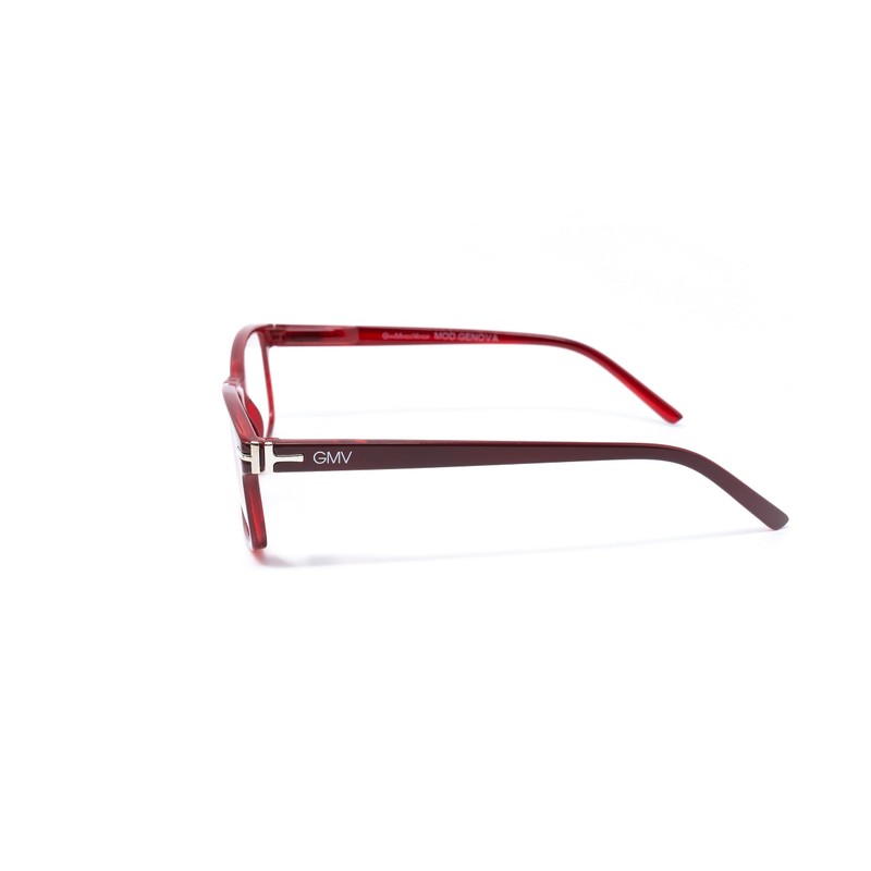 Gian Marco Venturi GMV Genua Red/Red Ch. +2.50-200 g