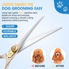 JASON 7.5" Dog Grooming Scissors - Professional Curved Shear with