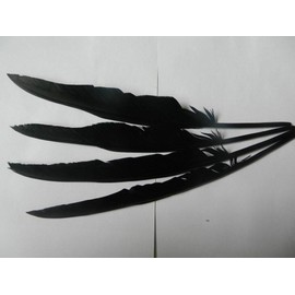 15pcs Black Raven Feather Handmade Craft Supplies Long Black Feather 30-35cm