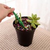 Mini Garden Hand Succulent Transplanting Tools,Widger Plastic Seedlings Dibber Sowing