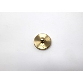 WISSNER Active Learning - Weight Brass 10 g