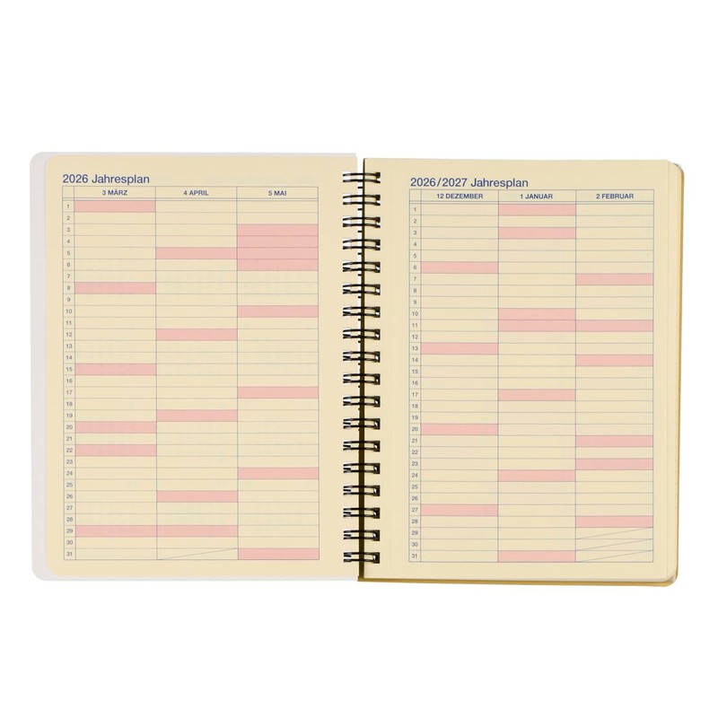[Delphonics Notebook 2026-2027 Version/Starts March 2026] Rollbahn Diary Metallic L