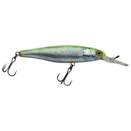 Illex DD Squirrel 79 SP Wobbler 11.5 g Floating RT Visible Roach