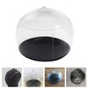 STOBAZA 2Pcs Inflatable PVC Hat Holder, Anti-Folding Cap Support, Adjustable