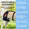 KISFLY Dog Hip Brace, Hot Cold Therapy Rear Leg Care