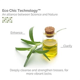 Champú revitalizante de árbol de té GIOVANNI - Champú especial clarificador con aceites naturales orgánicos para mujeres y hombres, limpieza e hidrata