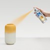 Rust-Oleum 249065-6PK Painter's Touch 2X Ultra Cover Spray Paint, 12
