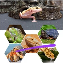 Vodolo Lot of 2 Bearded Dragon Tank Accessories, Reptile Terrarium Carpet Leopard