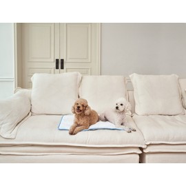 Dog glacier cooling pet dog cool cushion dog Duragon mat small dog / 강아지 빙하 쿨링 펫 애견 쿨방석 반려견 듀라곤매트 소형견