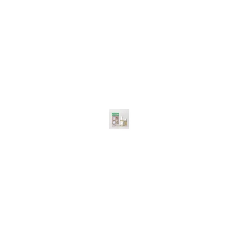믹순 콩 에센스 50ml 기획 (+병풀 에센스 20ml) Bean Essence