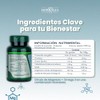 Citrato de Magnesio con Omega 3 - Magnesio Ultra Absorbente