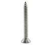Hippo Hardware No.6 (3.5mm X 38mm) Countersunk Security Wood Screws