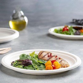 POPMISOLER 125PCS Premium 9-Inch Paper Plates - Eco-Friendly, Sugarcane Plates,Recyclable Plates,Bamboo Bowls Disposable,Lightweight, and Durable - Perfect for Parties and Events (125)