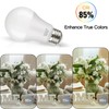 OUTON A19 LED Light Bulb with Remote Control, Efficient 9W