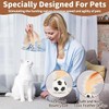JIGCEN 3 Pack Cat Toy Ballm, Indoor Entertainment Feather Mixed