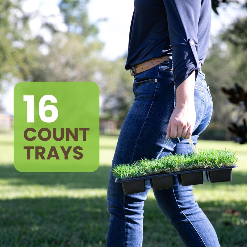 SodPods® Zoysia Grass Plugs for Lawn Repair, 3" x 3"