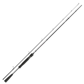 DAIWA Fuego Predator Spin, 2.00 m, 3-12 g, 2 Pieces, Fast, Predator Fishing Rod, 11124-200