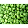 Mexican Miniature Watermelon 15 Seeds -Melothria scabra