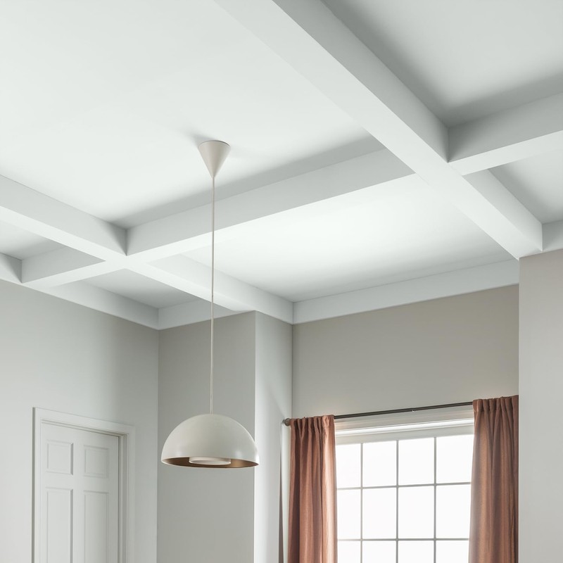 Glidden Interior Latex Ceiling Paint, White, Flat,1 gal