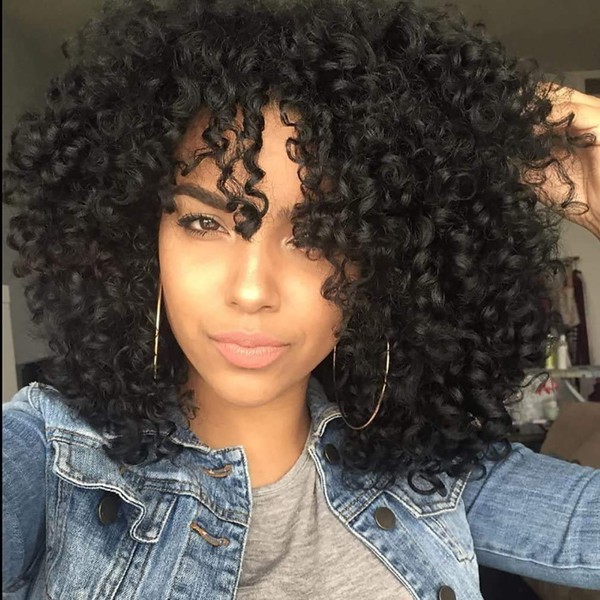 ZMS Short Curly Black Wigs Afro Kinky Curly Wigs for Black Women Heat Resistant Synthetic Full Black Wigs for African American(black)