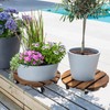 Yangbaga 2pack Plant Caddy 12’’Wood Duty Rolling Plant Stand with