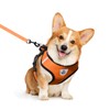 shudyear Dog Walking Chest Harness and Leash, Anti-Escape Adjustable Soft