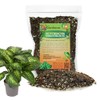 GARDENERA Superior Potting Soil Mix for Dieffenbachia - Perfect Balance