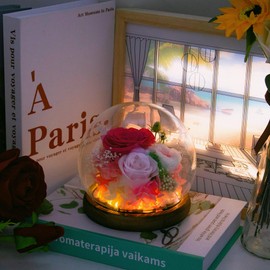 MOKOQI Pink Rose Gifts for Mom on Mothers Day, Birthday Gifts for Women Preserved Rose Real Flowers in Glass Dome with LED Strip, Preserved Flowers Rose Gifts for Wife Girlfriend Mom on Birthday