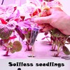 OHYER Rock Wool Leaf Cultivation Cuttings Rockwool Bottomless Cultivation Hydroponics