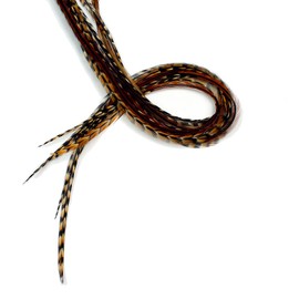 Real Feather Hair Extensions 5 Pack + Rings/Loop (Auburn Naturals)