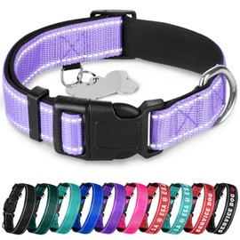 TECEUM Reflective Dog Collar – Lavender – XS – Extra Soft Padding – Basic Nylon Pet Collar – Quick Release Buckle – Fits Small, Medium and Large Dogs, Puppies, Cats – ESA & Service Dog Options