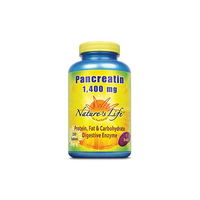 Nature's Life Pancreatin 4X Strength | 250 ct