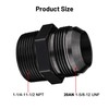 EVIL ENERGY 20AN Male Flare to 1-1/4" NPT Pipe Fitting