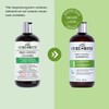 Curlsmith - Frizz Control Cleanser, Gentle Moisturising Hair Shampoo for