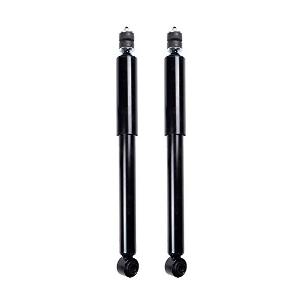 Set of 2 Rear Shocks, ROADFAR Shock Absorbers Set Fit