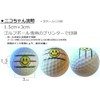 Hapiraki Golf Line Bridgestone Super Straight Super Straight 2025 Model
