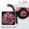 Loupe Magnifier Glasses Head Mount with LED Light Adjustable Glasses
