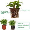 Augshy Augshy 40 Pcs 6" Plastic Plant Nursery Seed Starting