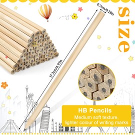 HAOMEEDUO Pack of 60 HB Wooden Pencils Natural Wood Pencils Natural 17.7 cm x 0.7 cm Wooden Pencils HB Pencil Set Wooden Pencil Graphite Pencils for Students Office School Supplies