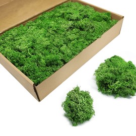 TurelinnG Preserved Moss 3 OZ Reindeer Craft Moss, Fake Moss Suitable for Flowerbeds, Crafts, Home Office Artistic Decoration Green