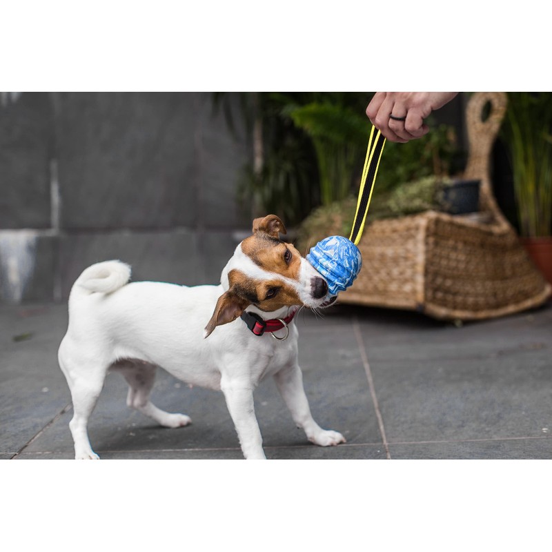 Julius-K9 JK9 Duoplay Antibacterial Ball, Small, Blue