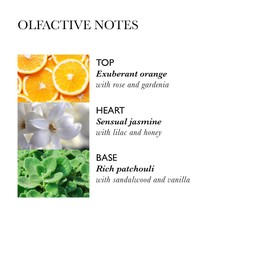 Molton Brown Blissful Templetree Body Lotion 300 ml