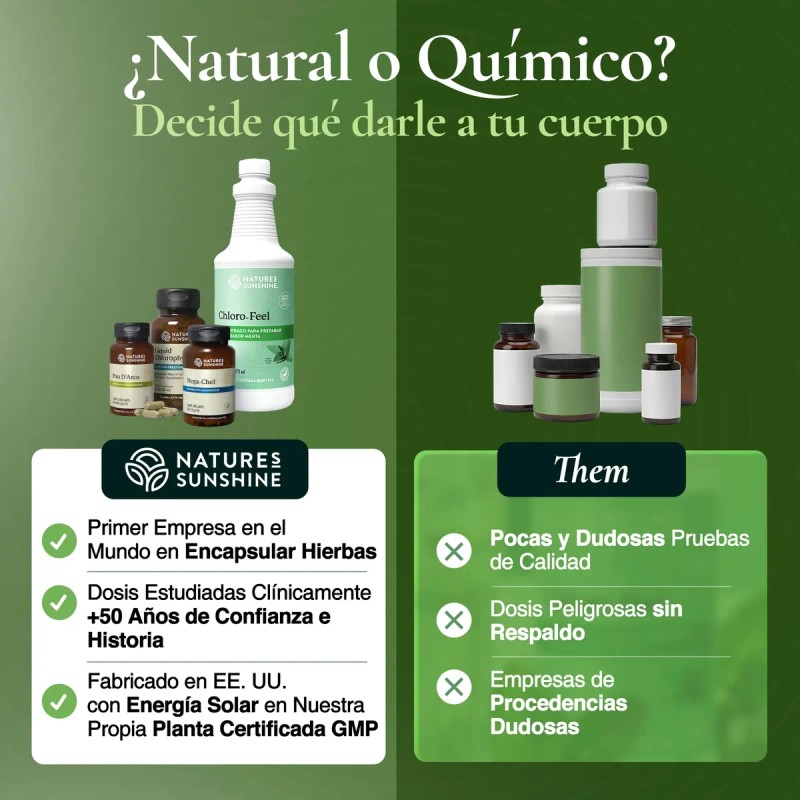Nature Sunshine Chloro Feel Clorofila Líquida 473ml Menta